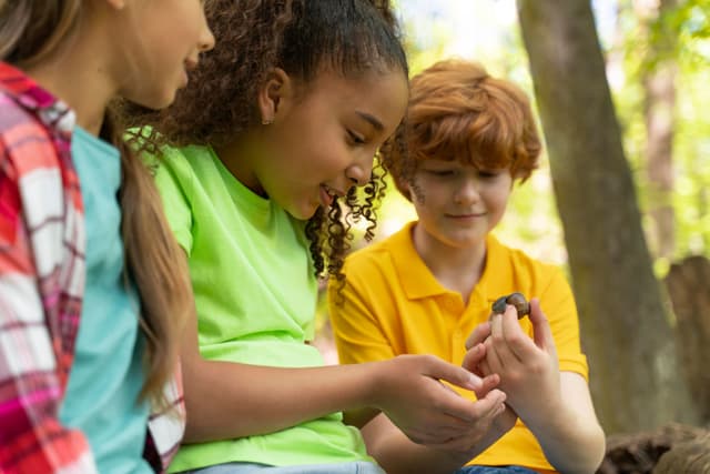 STEM Explorer Day Camp
